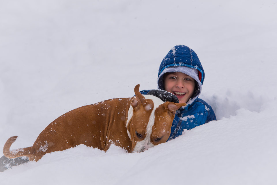 Niño juega con su perro en la nieve